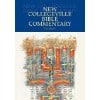 collegeville one volume commentary